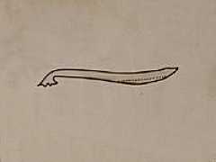 Pseudachorutes sp. (Collembola) from Germany
Mandibula
After Anonymous Fig.B